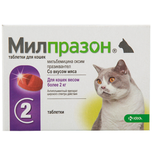 Милпразон для кошек и собак: инструкция по применению и дозировка