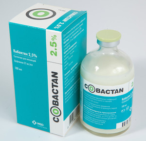 Кобактан для кошек: инструкция по применению и дозировка