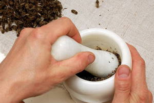 Описание способа лечения простатита пчёлами