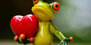 У каких земноводных трехкамерное сердце?