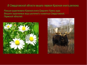 Какие животные занесены в красную книгу