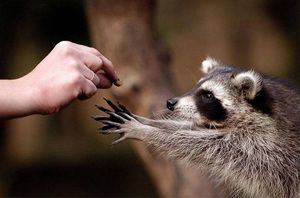 Сладкое противопоказано 