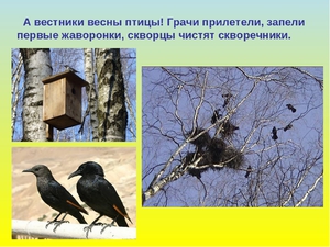 Особенность весенних птиц