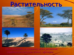 Пустыни и полупустыни  