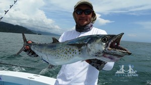 Макрель тихоокеанская - фото улова