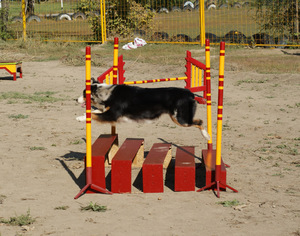 Прыжок в длину 