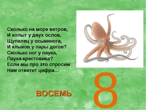 Где обитают осьминоги