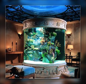 Интерьер с аквариумом