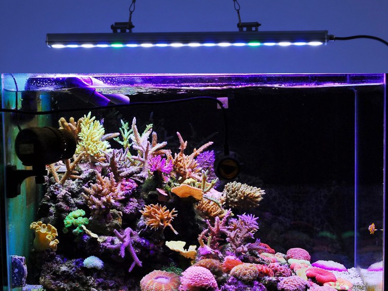 Аквариум восьмой Аквариум 8