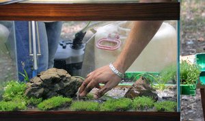 Морской песок для аквариума