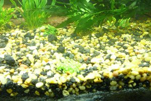 Како грунт в аквариуме лучше