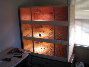 Перепела- брудер