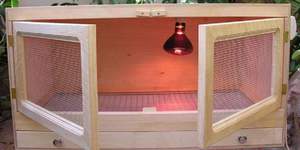 Брудер для перепелов своими  