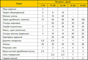 Этапы кормления гусят в домашних условиях в зависимости от их возраста