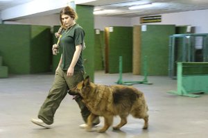 Интересная  професси- кинолог