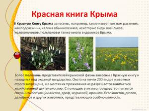 Красная книга Крыма